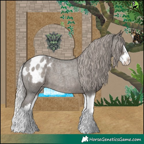 Horse Color:Silver Blue Roan Splash Appaloosa 
