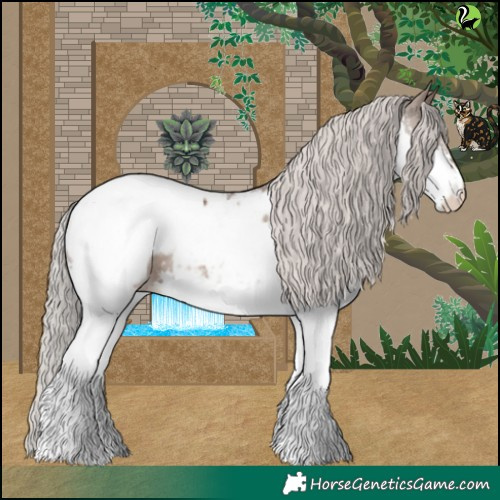 Horse Color:Silver Grullo Splash Appaloosa 