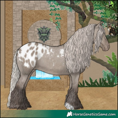 Horse Color:Silver Grullo Appaloosa 