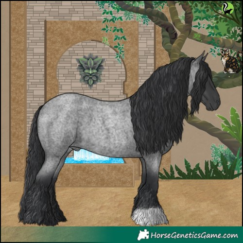 Horse Color:Blue Roan 