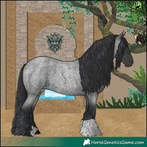 Horse Color:Blue Roan 