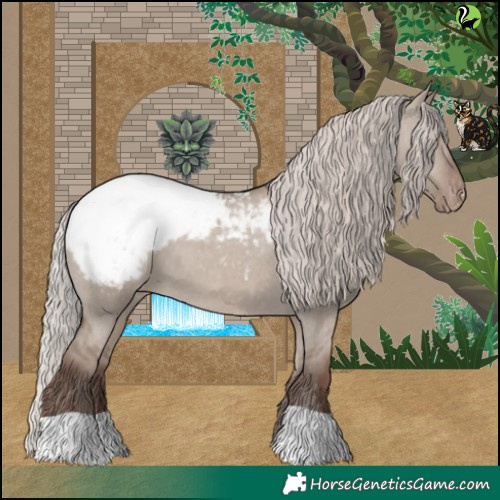Horse Color:Silver Grullo Appaloosa 