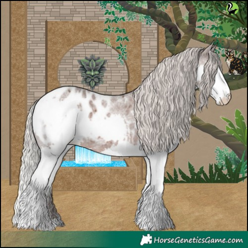 Horse Color:Silver Blue Roan Splash Appaloosa 