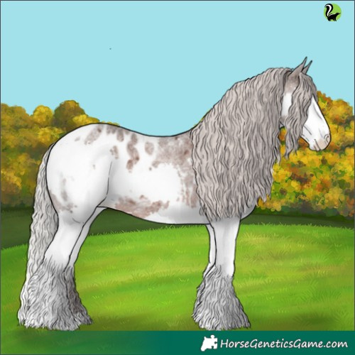 Horse Color:Silver Blue Roan Splash Appaloosa 