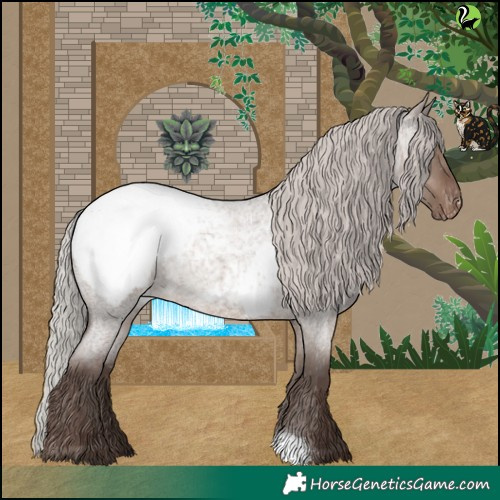 Horse Color:Silver Grullo Roan Snowcap 