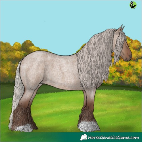 Horse Color:Silver Grullo Roan 