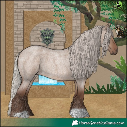 Horse Color:Silver Grullo Roan 