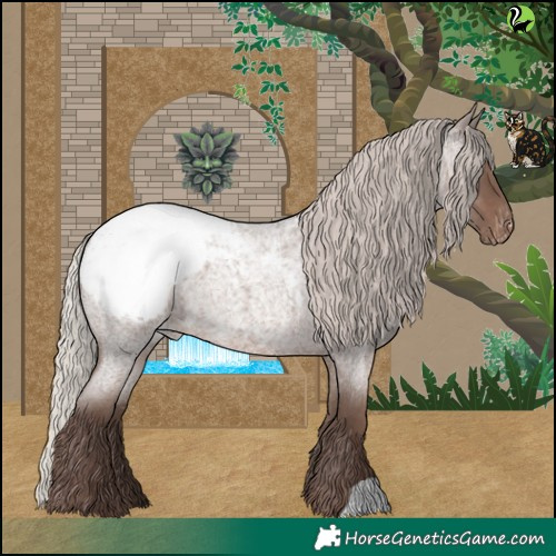 Horse Color:Silver Blue Roan Appaloosa 