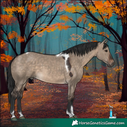 Horse Color:Brown Dun Tobiano 
