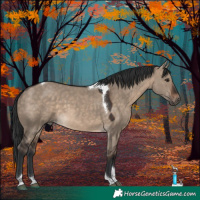 Horse Color:Brown Dun Tobiano 