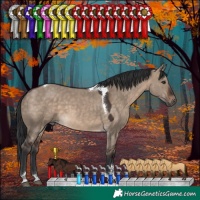 Horse Color:Brown Dun Tobiano