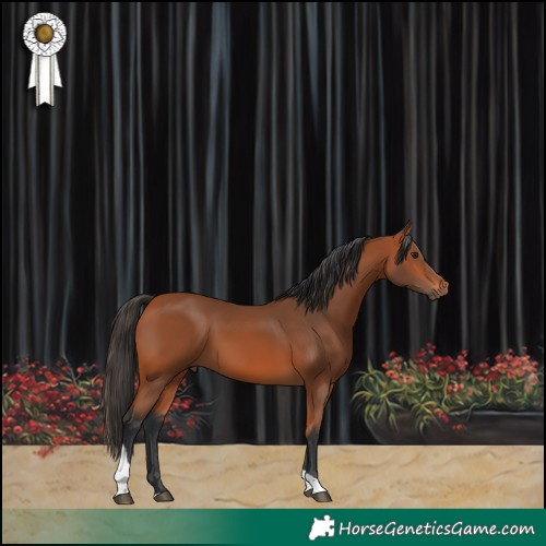 Horse Color:Bay Tobiano 