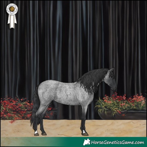 Horse Color:Blue Roan 