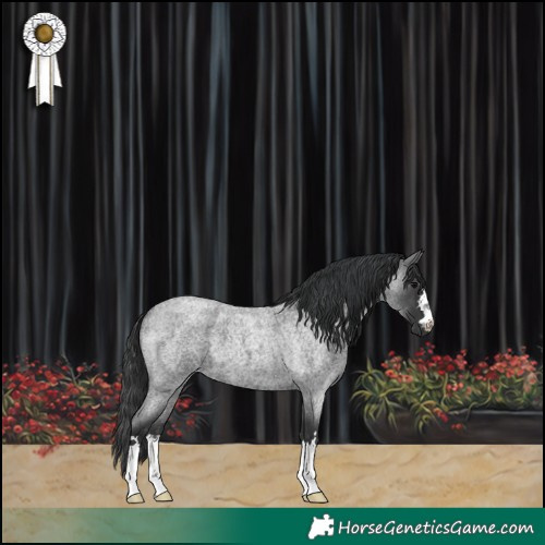 Horse Color:Blue Roan 