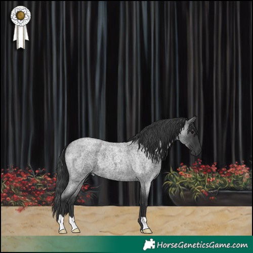 Horse Color:Blue Roan 