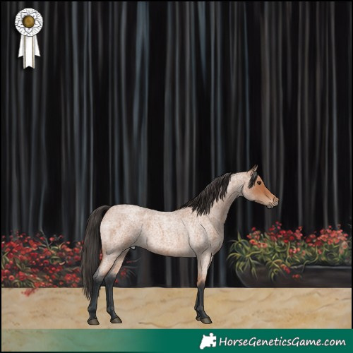 Horse Color:Bay Roan 