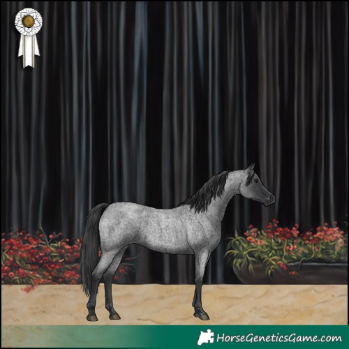 Horse Color:Blue Roan 