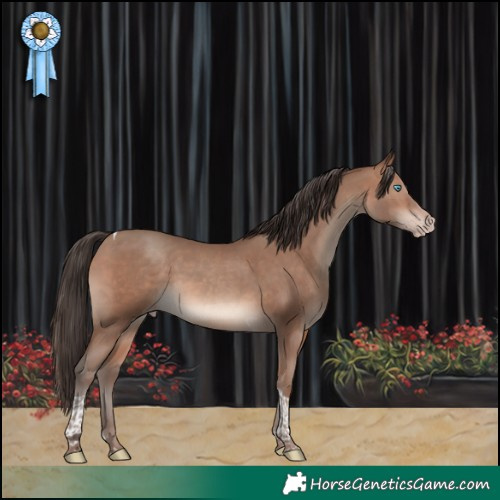 Horse Color:Sable Champagne Tobiano 