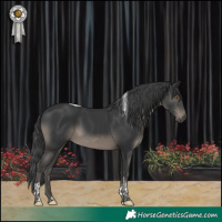 Horse Color:Black Tobiano 