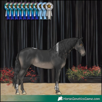 Horse Color:Black Tobiano