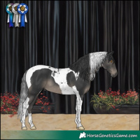Horse Color:Black Tobiano 