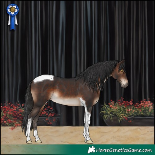 Horse Color:Brown Tobiano 