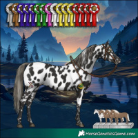 Horse Color:Liver Chestnut Mushroom Near Leopard 