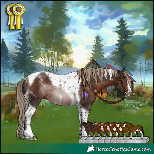 Horse Color:White Spotted Liver Chestnut Splash Tobiano Frame Rabicano