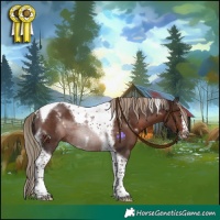 Horse Color:White Spotted Liver Chestnut Splash Tobiano Frame Rabicano