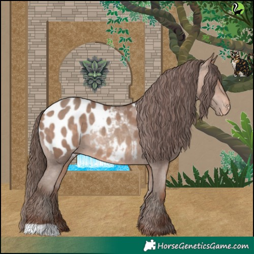 Horse Color:Sable Champagne Appaloosa 