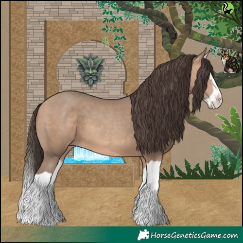 Horse Color:Amber Champagne Splash 