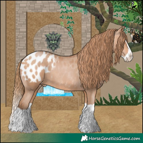 Horse Color:Bay Pearl Splash Appaloosa 