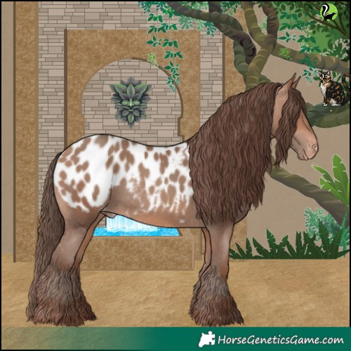 Horse Color:Sable Champagne Appaloosa 