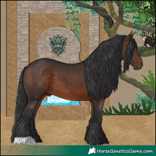 Horse Color:Brown 