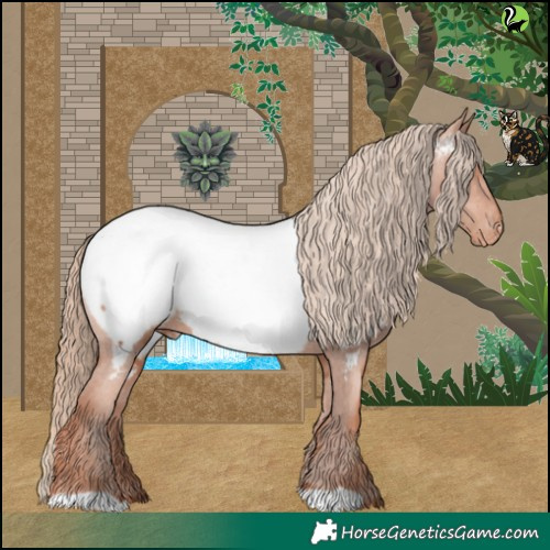 Horse Color:Gold Champagne Appaloosa 