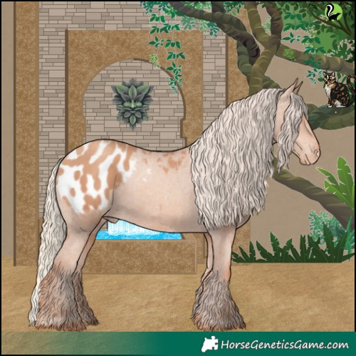Horse Color:Gold Champagne Appaloosa 