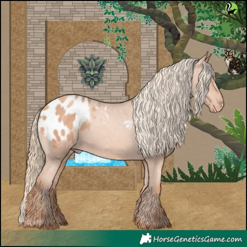 Horse Color:Gold Champagne Appaloosa 