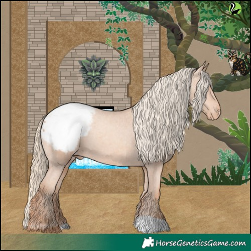 Horse Color:Gold Champagne Appaloosa 