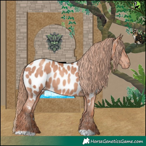 Horse Color:Gold Champagne Appaloosa 