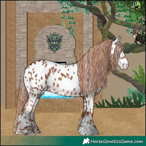 Horse Color:Chestnut Near Leopard 