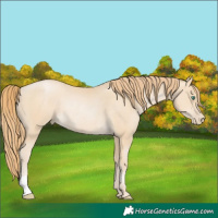 Horse Color:Smoky Black Pearl Rabicano 