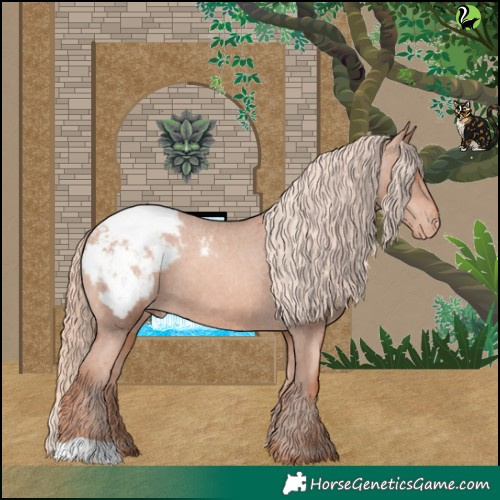 Horse Color:Gold Champagne Appaloosa 
