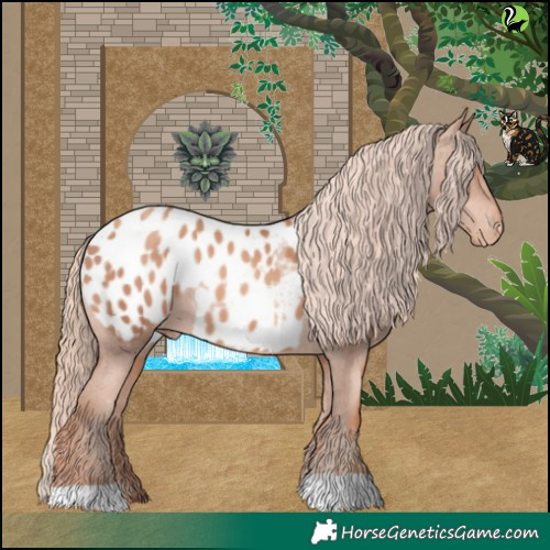 Horse Color:Gold Champagne Appaloosa 