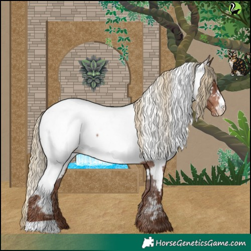 Horse Color:Liver Chestnut Appaloosa 