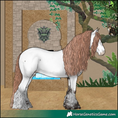 Horse Color:Liver Chestnut Appaloosa 