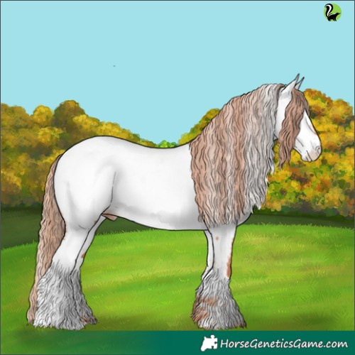 Horse Color:Gold Champagne Appaloosa 