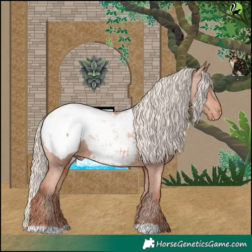 Horse Color:Gold Champagne Appaloosa 