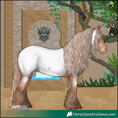 Horse Color:Gold Champagne Appaloosa 