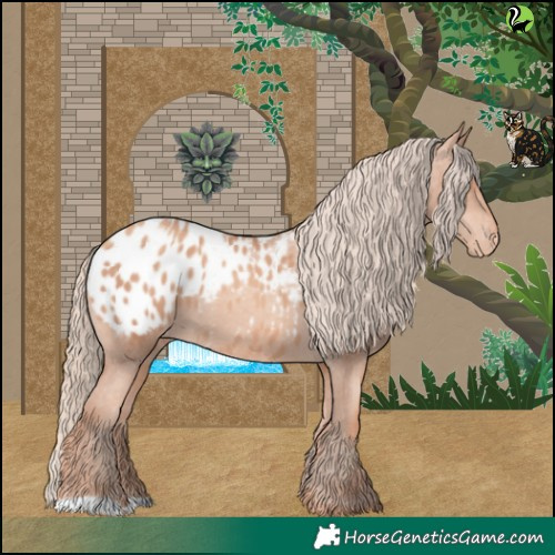 Horse Color:Gold Champagne Appaloosa 