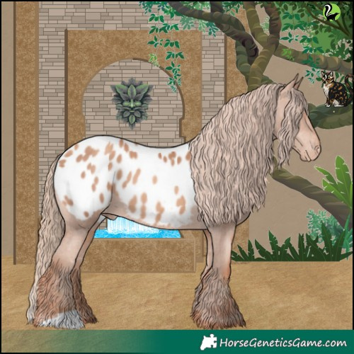 Horse Color:Gold Champagne Appaloosa 